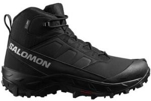 Turistická obuv Salomon  Crosstrak Wp