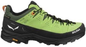 Turistická obuv Salewa  Alp Trainer 2 Gtx