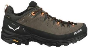 Turistická obuv Salewa  Alp Trainer 2 Gtx