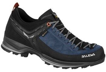 Turistická obuv Salewa  Mtn Trainer 2 Gtx