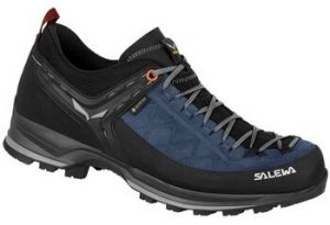 Turistická obuv Salewa  Mtn Trainer 2 Gtx