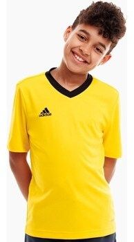 Tričká s krátkym rukávom adidas  Entrada 22