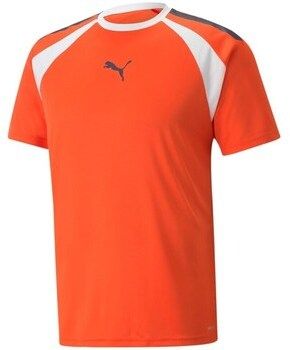 Tričká s krátkym rukávom Puma  Teamliga