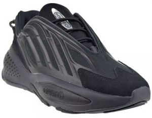 Nízke tenisky adidas  Ozrah