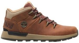 Nízke tenisky Timberland  Euro Sprint Trekker Mid