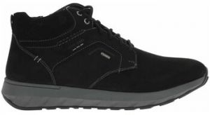 Polokozačky Josef Seibel  33654TE21100