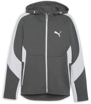 Mikiny Puma  Evostripe