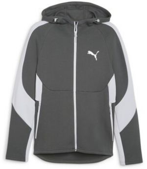 Mikiny Puma  Evostripe