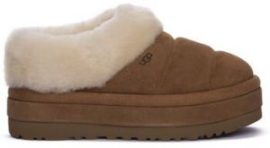 Papuče UGG  Tazzlita