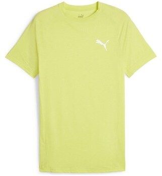 Tričká s krátkym rukávom Puma  Evostripe Tee