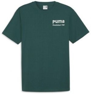 Tričká s krátkym rukávom Puma  Team Graphic Tee