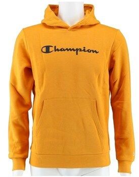 Mikiny Champion  Big Logo Print