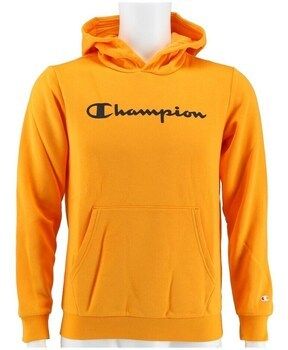 Mikiny Champion  Big Logo Print