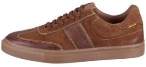 Nízke tenisky Camel Active  Active Tan