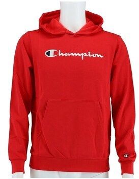 Mikiny Champion  Big Logo 2024
