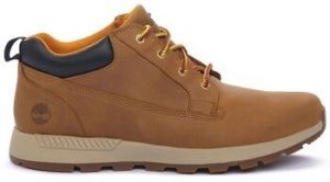Nízke tenisky Timberland  Kilinghtonlow