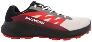 Bežecká a trailová obuv Salomon  Alphaglide Gtx