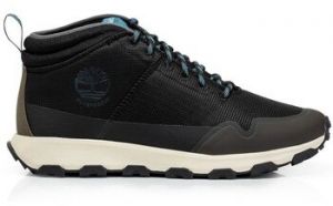 Nízke tenisky Timberland  Winsor
