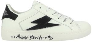 Derbie Semerdjian  Chaussures ROY
