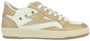 Derbie Semerdjian  Chaussures DANY