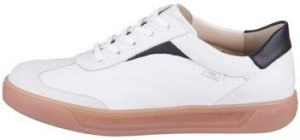 Nízke tenisky Finn Comfort  Interlagos