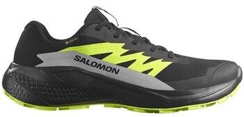 Bežecká a trailová obuv Salomon  Alphaglide Gtx