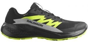 Bežecká a trailová obuv Salomon  Alphaglide Gtx