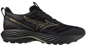 Bežecká a trailová obuv Mizuno  Wave Rider Gtx 2