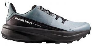Turistická obuv Mammut  Aenergy Hike Low Gtx