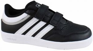 Nízke tenisky adidas  Hoops 4.0 Cf C