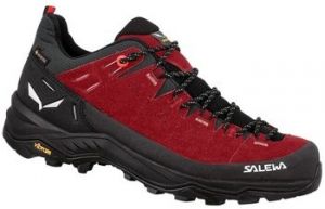Turistická obuv Salewa  Alp Trainer 2 Gtx