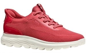 Derbie Geox  Chaussures D557MA