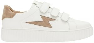 Derbie Vanessa Wu  Chaussures BK2553