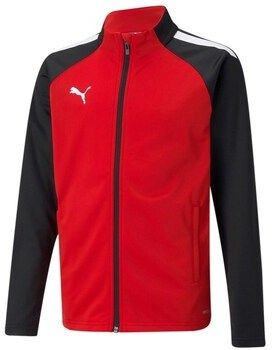 Mikiny Puma  Teamliga Poly