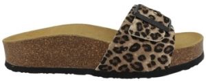 Šľapky Plakton  Chaussures 345415