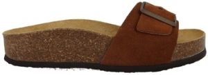 Šľapky Plakton  Chaussures 345415