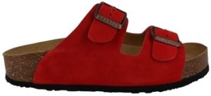 Šľapky Plakton  Chaussures 340010
