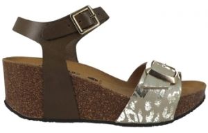 Sandále Plakton  Chaussures 876123