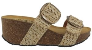Šľapky Plakton  Chaussures 876038