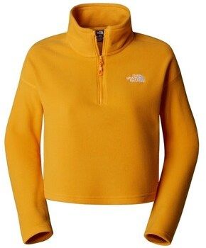Mikiny The North Face  W 100 Glacier