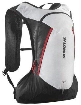 Ruksaky a batohy Salomon  Cross 8
