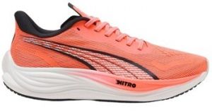 Bežecká a trailová obuv Puma  Velocity Nitro 3