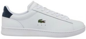 Nízka obuv do mesta Lacoste  Carnaby
