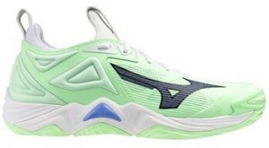 Indoor obuv Mizuno  Wave Momentum 3