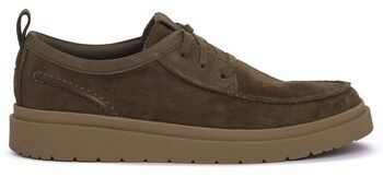 Derbie Clarks  Polden Moc