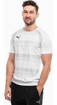 Tričká s krátkym rukávom Puma  Teamvision
