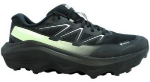 Turistická obuv Salomon  Ultra Flow 2 Gtx