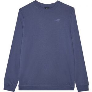 Mikiny 4F  B24823