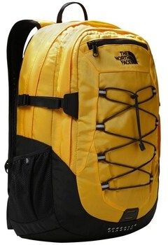 Ruksaky a batohy The North Face  Borealis