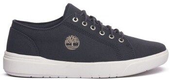 Nízke tenisky Timberland  A66NN